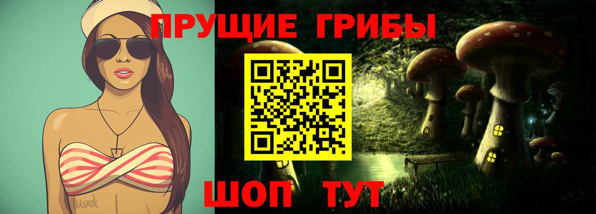 Псилоцибиновые грибы GOLDEN TEACHER Нижний Тагил